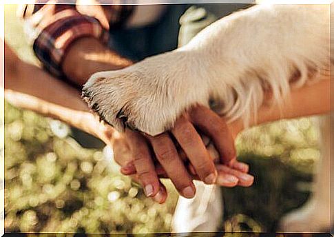 5 ways to show you love your dog