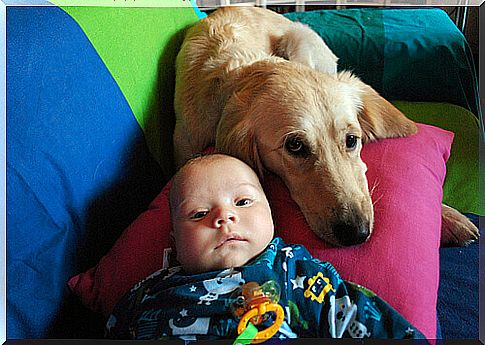 dog and baby