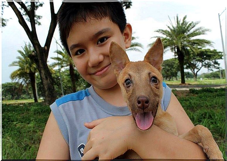 boy with dog in his lap