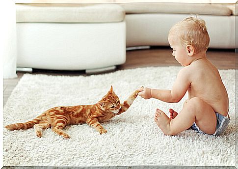 kitten and child