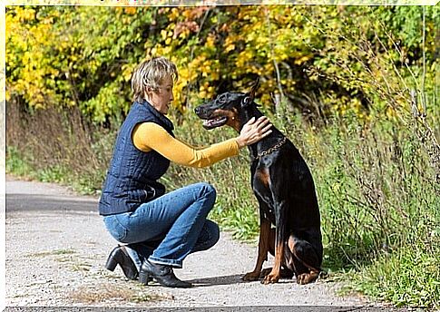 A missing woman is found by a Doberman