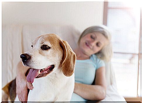 dog with woman