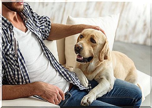 man petting a sick dog