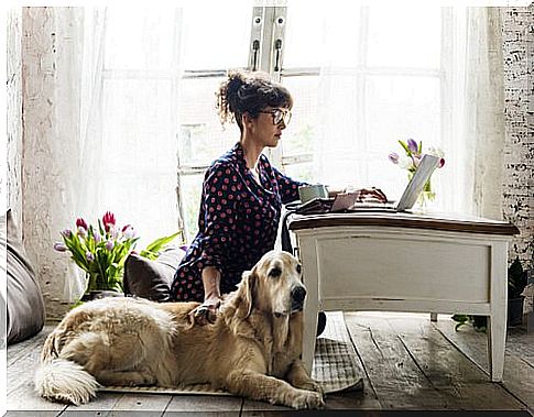 Woman working with the dog at her side