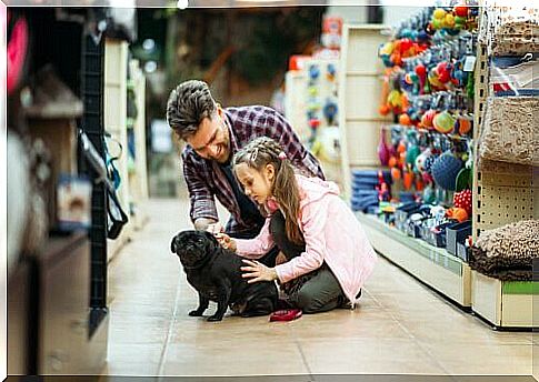 go shopping with your pet