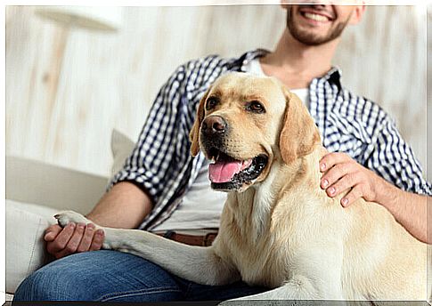 Did you know that dogs recognize the tone of voice?