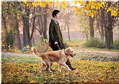 woman walking a dog