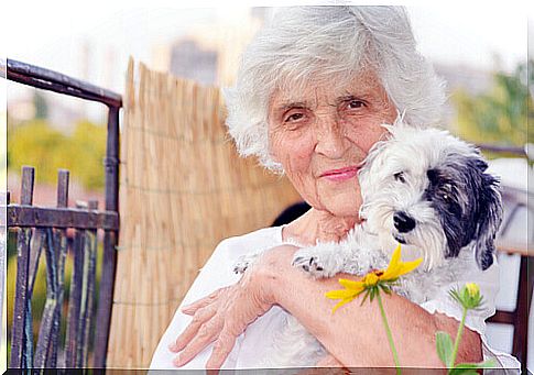 elderly and dog