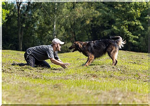 man and dog playing