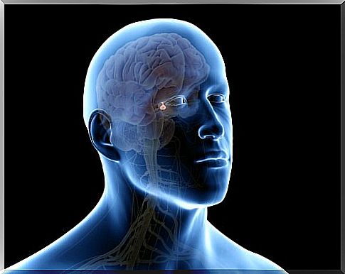 Know the homeostatic regulation mechanisms