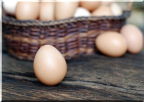 chicken egg basket