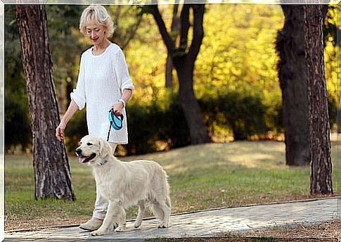 Elderly woman walking a dog: having a pet reduces loneliness