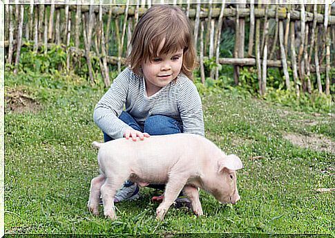 girl and piglet