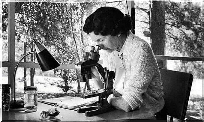 Rachel Carson: history