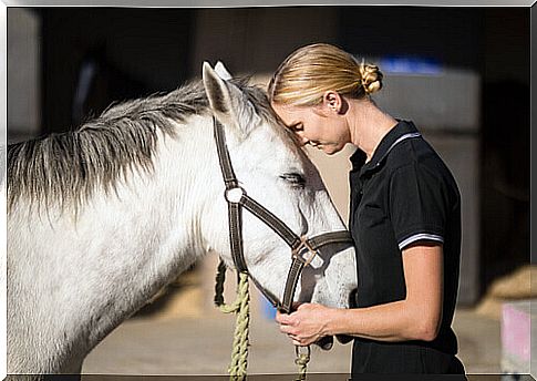 Scared horse: what to do in this situation?