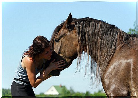 What to do if my horse is scared?