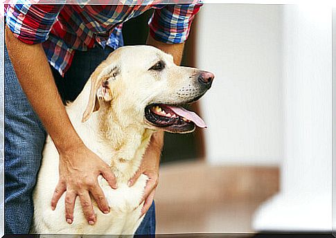 man holding dog