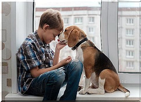 child with his dog