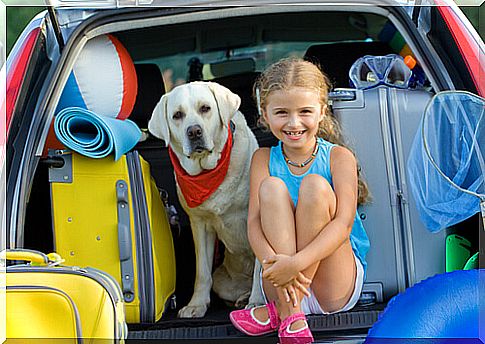 Traveling by car with animals