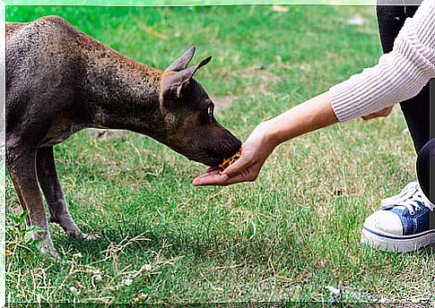 handing food